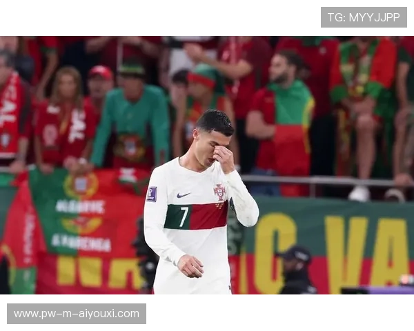 拉斐尔·莱万凌空抽射入网